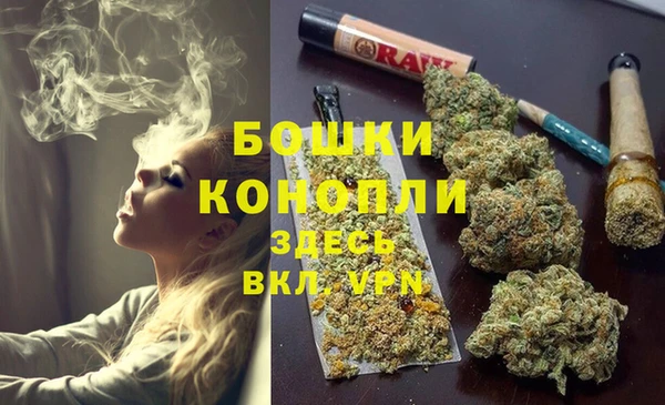 прущие грибы Сатка