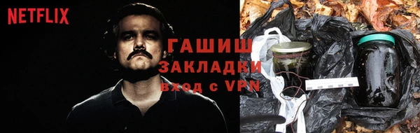 прущие грибы Сатка