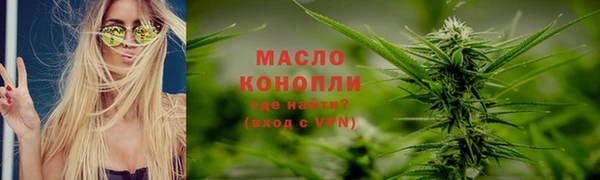 молекула духа Семилуки