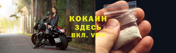 прущие грибы Сатка