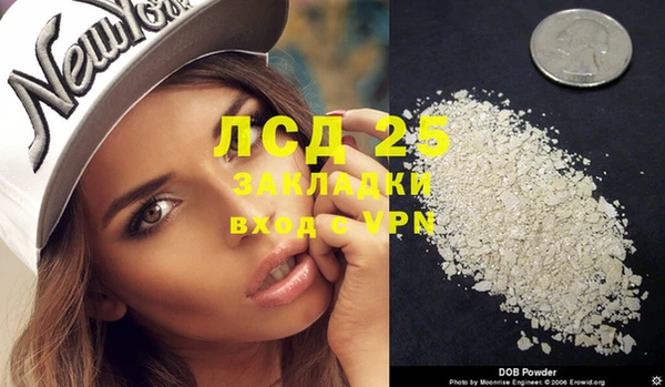 прущие грибы Сатка