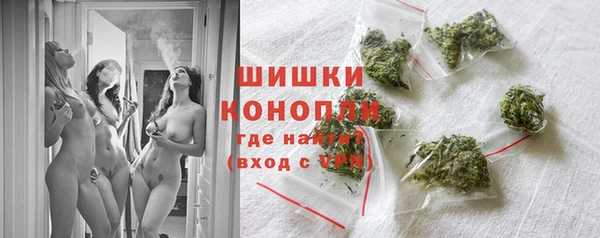 прущие грибы Сатка