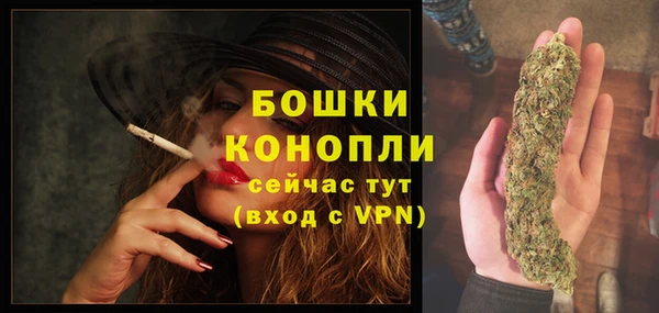 прущие грибы Сатка