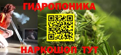 трава Гусиноозёрск