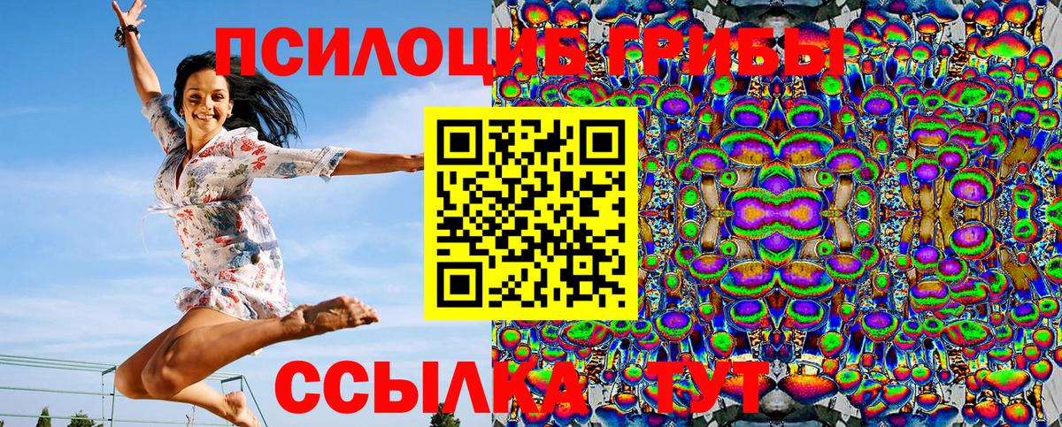 Псилоцибиновые грибы GOLDEN TEACHER Электрогорск