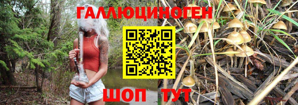 Галлюциногенные грибы Cubensis  Электрогорск  Псилоцибиновые грибы Psilocybine cubensis 